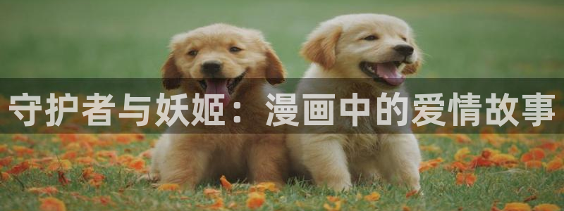 羞羞漫画韩漫免费：守护者与妖姬：漫画中的爱情故事